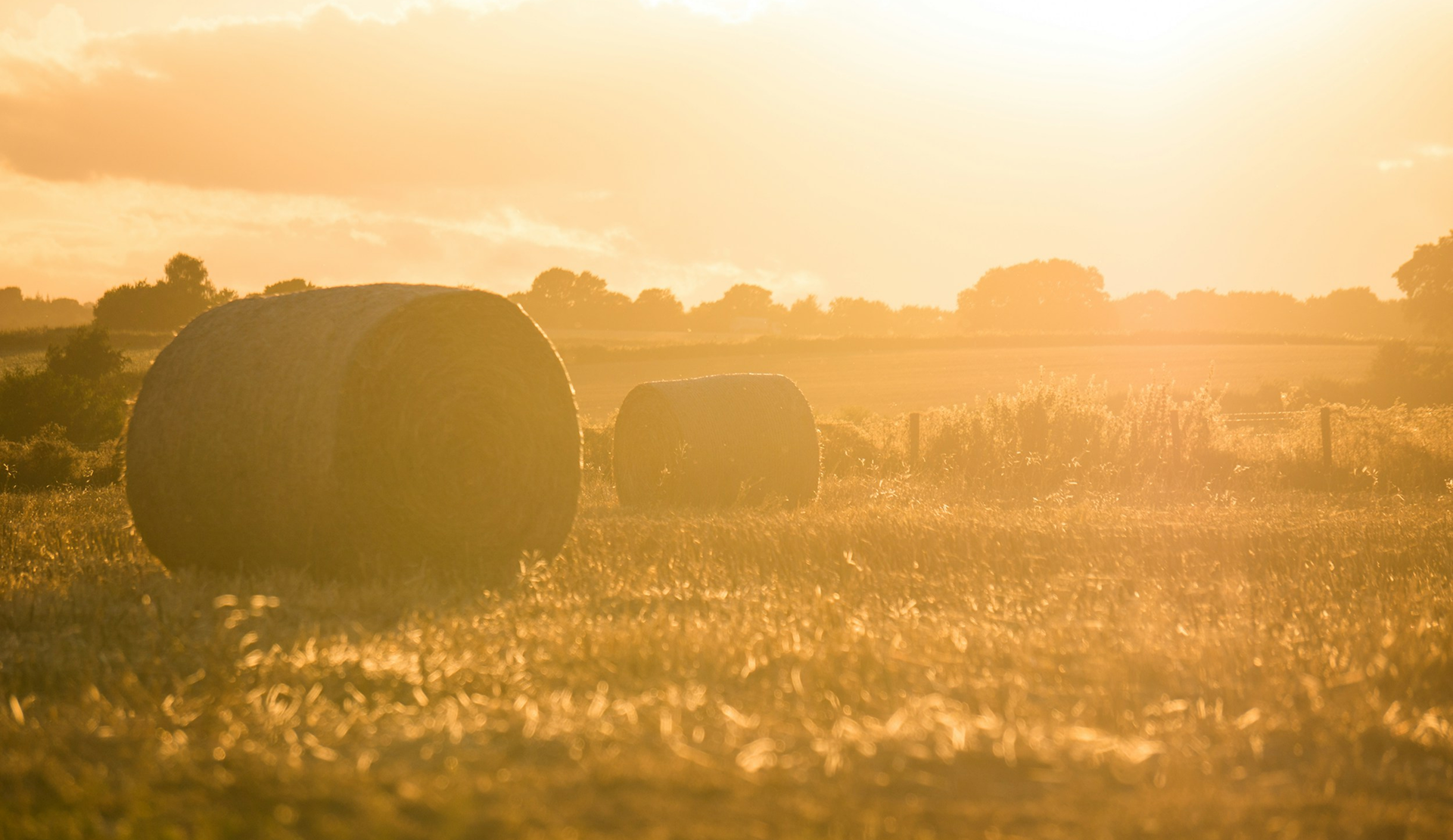 Hay bales on a farm.
